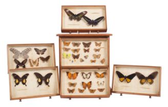 Entomology: An Early 20th Century Collection of European & Tropical Butterflies, by James Gardner,