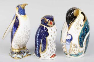 Royal Crown Derby Paperweights Formed as Penguins, including Rockhopper and Emperor, all with gold