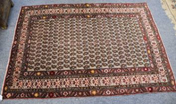 Karabagh Rug, the field with rows of boteh enclosed by flowerhead borders and meandering vine