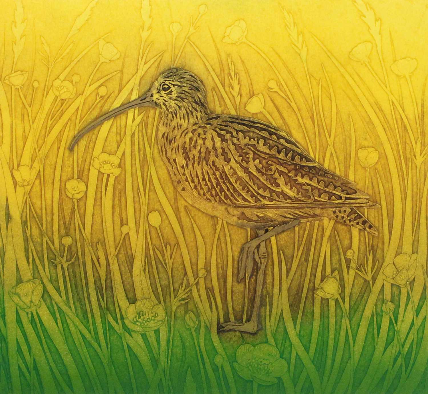 Hester Cox (Contemporary) "Curlew Summer" Limited edition collagraph print, signed and numbered 16/