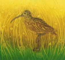 Hester Cox (Contemporary) "Curlew Summer" Limited edition collagraph print, signed and numbered 16/