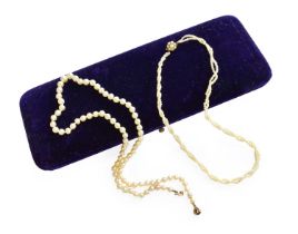 A Double Row Seed Pearl Necklace, knotted to a split pearl cluster clasp, length 35.2cm; and A
