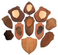 Shields: A Collection of Taxidermy Mounting Shields, modern, seventeen various sized and shaped used