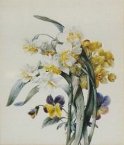 A Collection of Botanical Prints, to include "Sweet William", "Pomegranate" and "Showy Fleabane",