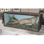 Taxidermy: A Late Victorian Cased European Otter (Lutra lutra), circa 1880-1900, a full mount