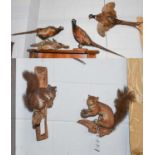 Taxidermy: Three Ring-necked Pheasants and two Red Squirrels, three full mount adult cock Pheasants,