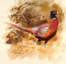 Rodger McPhail (b.1953) Cock pheasant in vegetation Signed, watercolour, 20.5cm by 21.5cm