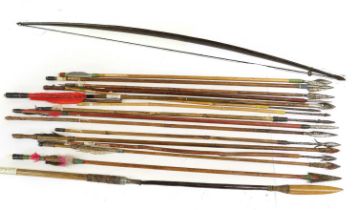 A New Guinea Palm Wood Self Bow, an Amazonian Indian cane spear and fifteen various arrows from