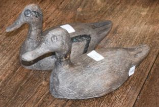A Pair of 19th century Decoy Ducks The ducks are not reproduction. Both peppered. Re glued at the