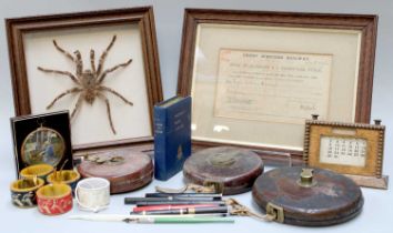 Assorted Collectables, including a framed specimen of a spider "birds eating spider, Brazil",