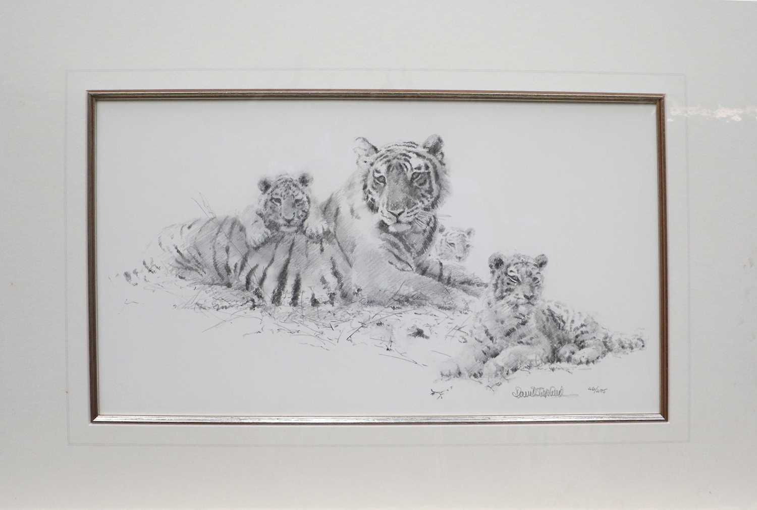 After David Shepherd CBE, FRSA, FGRA (1931 -2017) "Siberian Tiger" Signed and numbered 227/475, - Image 5 of 7