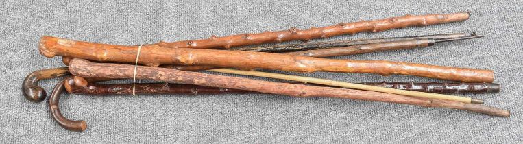 A Large Collection of Miscellaneous Walking Sticks and Canes, 19th and 20th century, various designs