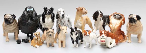 Beswick Dog Models, including: Spaniels, Collies, Pugs, Poodle, etc. and a similar Royal Doulton dog