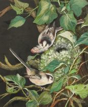 British School (20th Century) Study of Long-Tailed Tits nesting Initialled E.G.O and dated 1978,