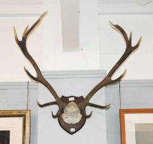 A 20th Century Set of Antlers, inscribed JCP Glen Shee, 9/10/57 on shield wooden plaque