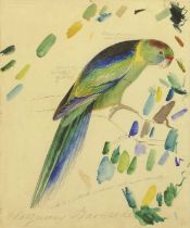After Edward Lear (1812-1888) "Barnard's Parakeet" "Green Parrot" Limited edition giclee prints;