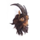 Taxidermy: Scottish Domestic Goat (Capra hircus), early 20th century, a young adult head mount