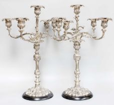 A Pair of Silver Plate Five-Light Candleabra, each on leaf-cast base, the baluster stem similarly