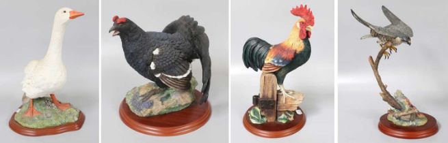 Border Fine Arts Studio Bird Models, including 'Blackcock' model No. A1278, and 'Cockerel', model