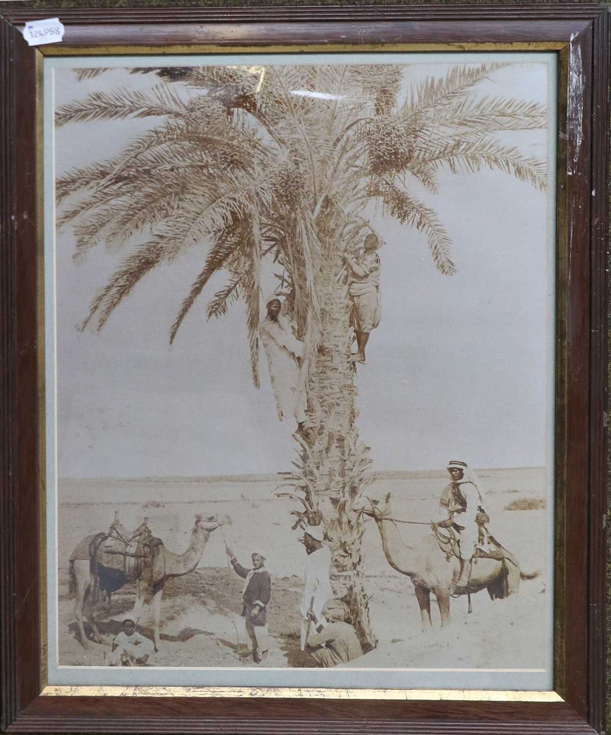 After G. Lékégian & Son, six framed monochromed photographic prints, Egyptian Scenes (6) - Image 6 of 7