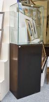 A Bronzed Panelled Glazed Display Cabinet, of plinth form, 171cm by 53cm by 35cm By Rupute: This