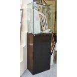 A Bronzed Panelled Glazed Display Cabinet, of plinth form, 171cm by 53cm by 35cm By Rupute: This