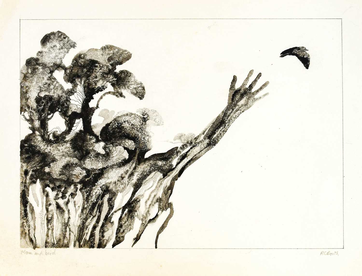 Raymond Booth (1929-2015) Tree study Signed and dated 1994, pencil, together with a collection of