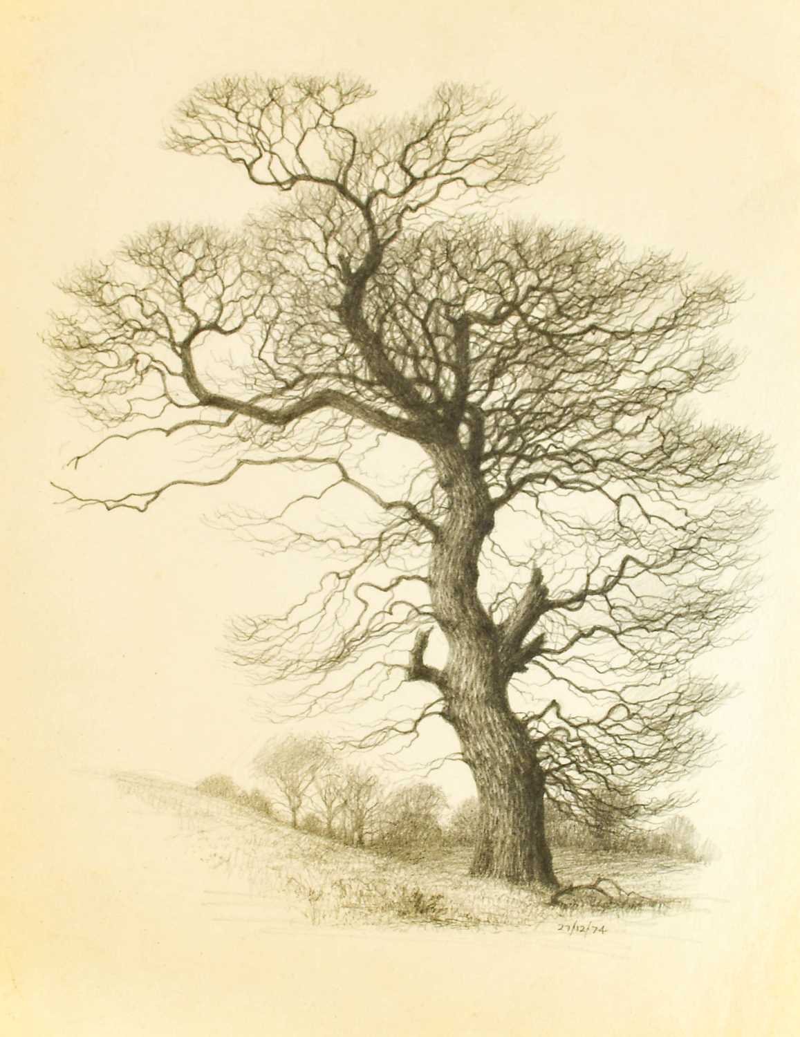 Raymond Booth (1929-2015) Tree study Signed and dated 1994, pencil, together with a collection of - Image 2 of 7