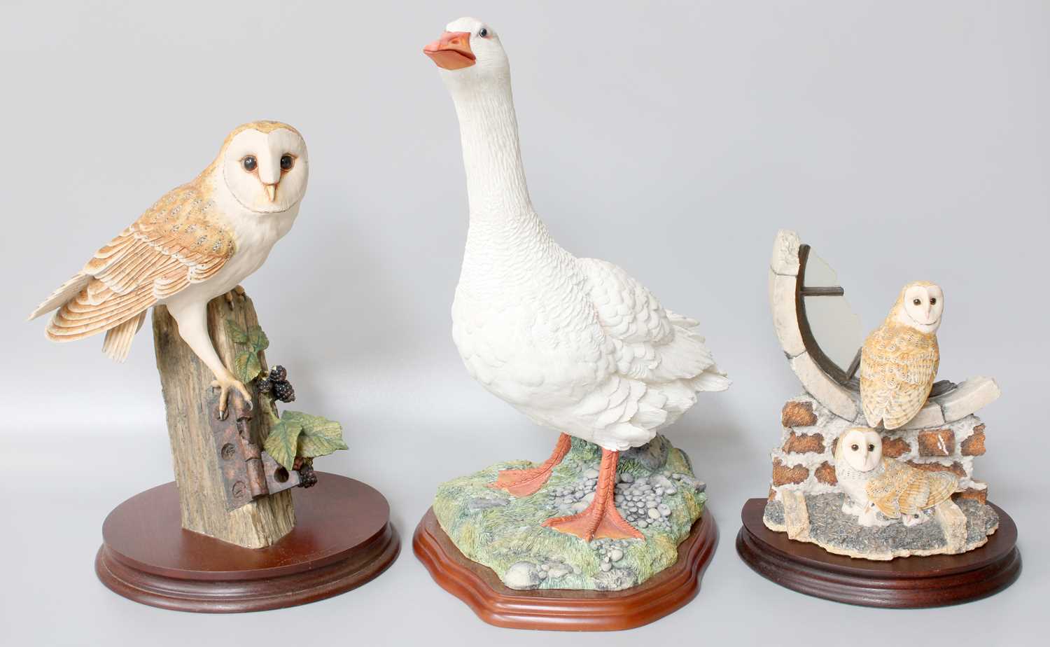 Border Fine Arts Classic, Society and Studio Bird Models, including 'Barn Owl' model No. RB15, - Image 2 of 3