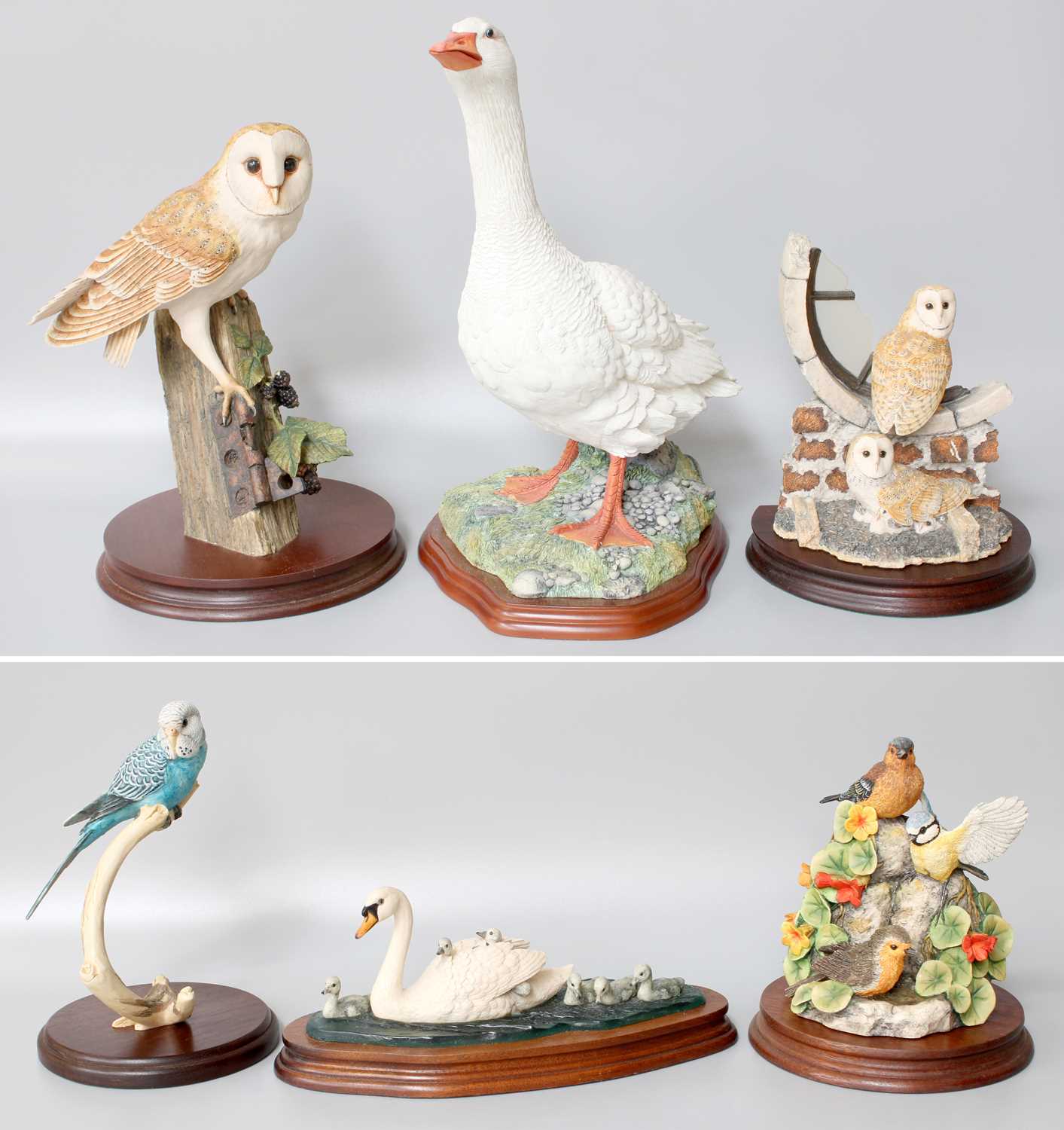 Border Fine Arts Classic, Society and Studio Bird Models, including 'Barn Owl' model No. RB15,