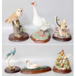 Border Fine Arts Classic, Society and Studio Bird Models, including 'Barn Owl' model No. RB15,