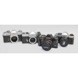 Yashica Cameras - FX-D with Tokina f2.8 28mm lens; FX-103 with Tamron f2.5 28mm lens; J7 and FX1