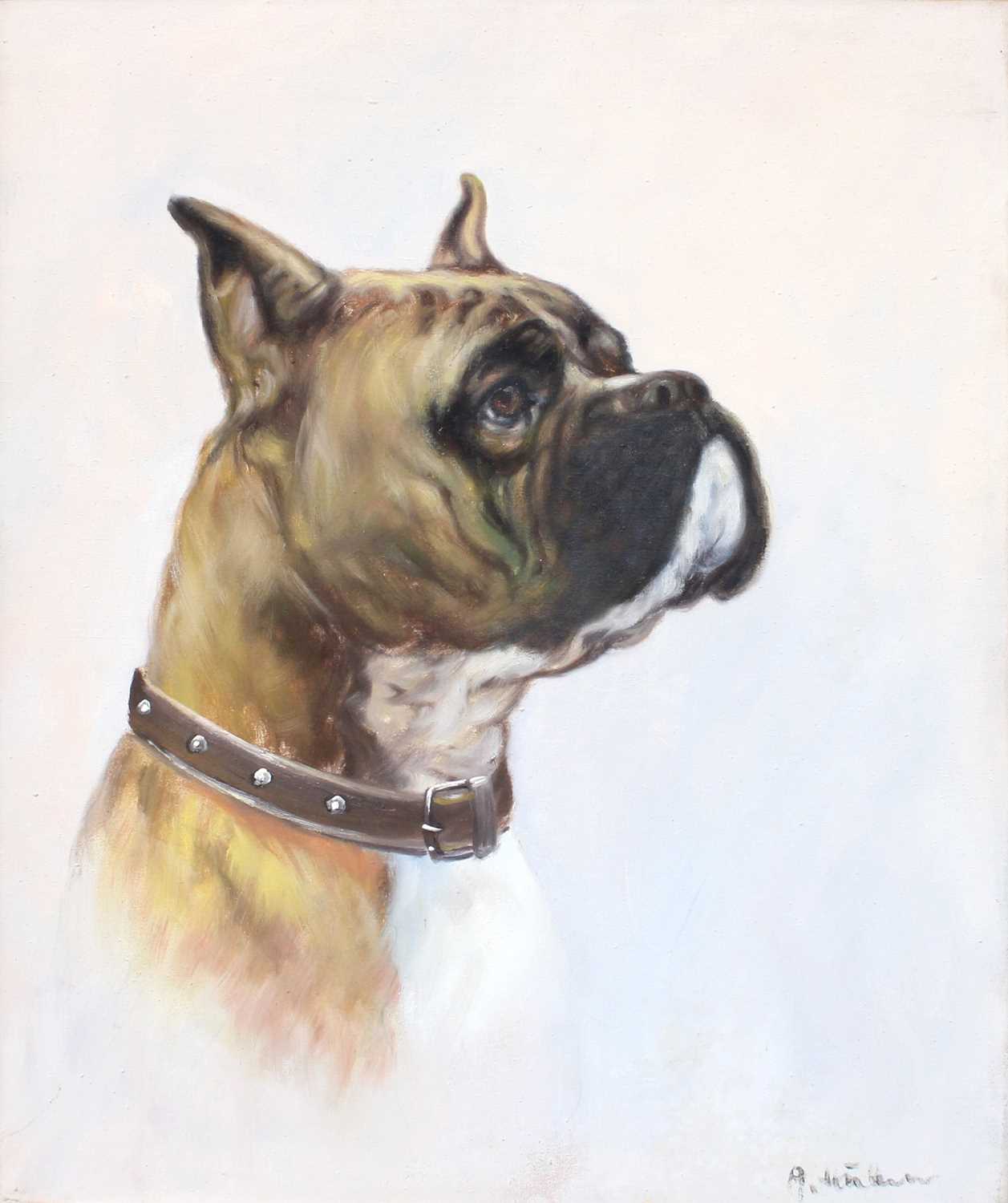 Continential School (20th Century) Head Study of a Boxer Dog Indistictly signed, oil on canvas, 49cm - Image 2 of 6