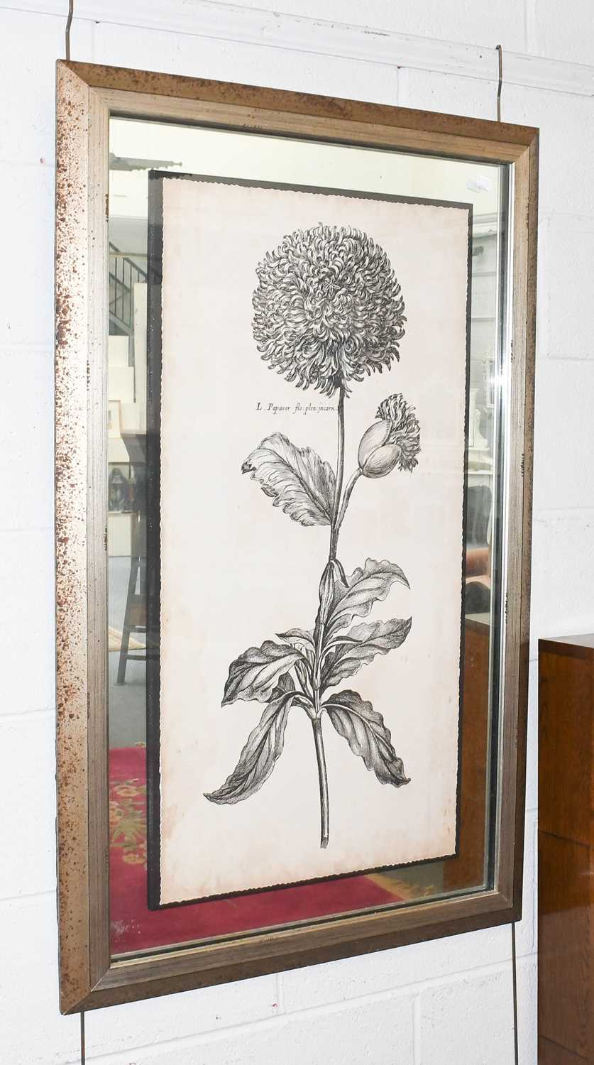 Set of Four Decorative John-Richard Botanical Prints in Mirrored Frames, 91cm by 45.5cm (4) - Image 4 of 5