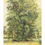 Kenneth Gribble (20th Century) ''Elm Tree'' Inscribed verso "Cheddon Firzpaine, Somerset", and dated