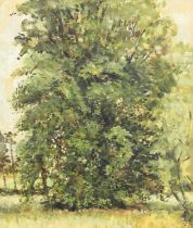 Kenneth Gribble (20th Century) ''Elm Tree'' Inscribed verso "Cheddon Firzpaine, Somerset", and dated