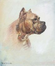 Continential School (20th Century) Head Study of a Boxer Dog Indistictly signed, oil on canvas, 49cm