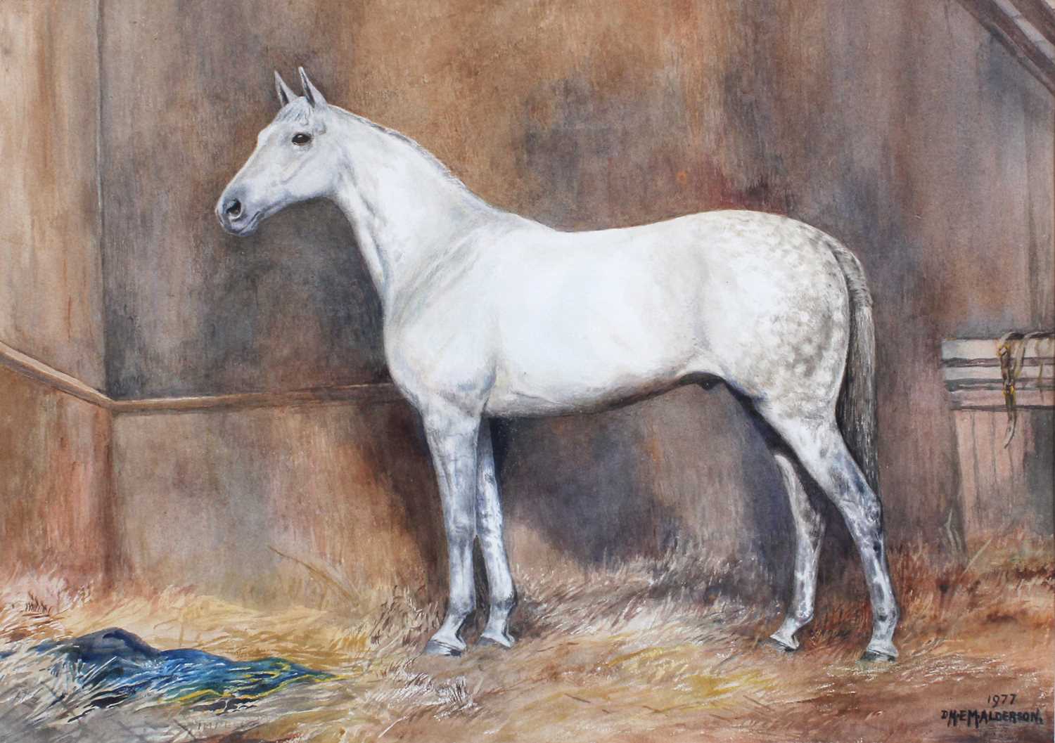 D.M & E.M Alderson (20th Century) Study of a grey horse standing in a stable Signed and dated