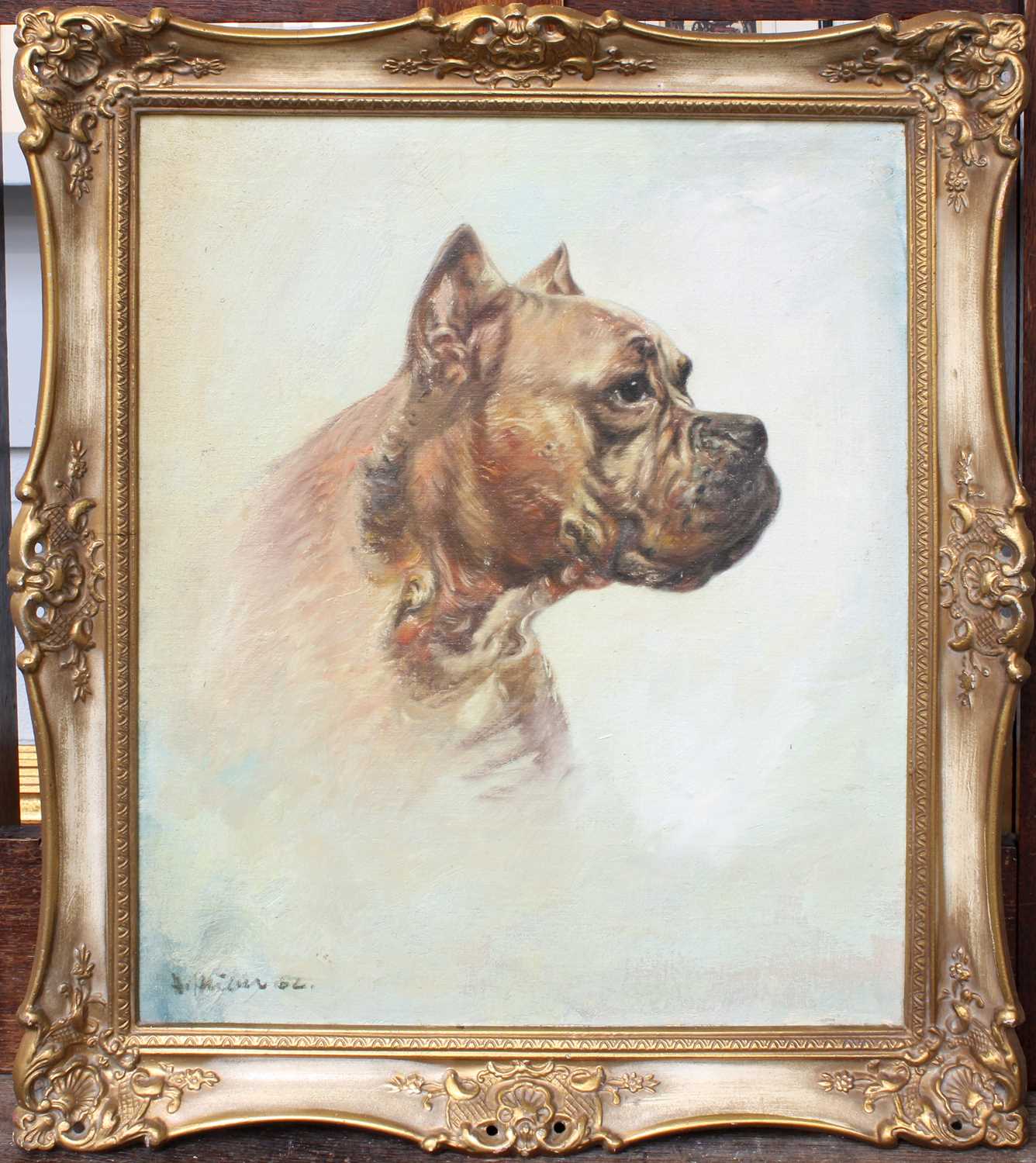 Continential School (20th Century) Head Study of a Boxer Dog Indistictly signed, oil on canvas, 49cm - Image 4 of 6