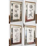 Set of Four Decorative John-Richard Botanical Prints in Mirrored Frames, 91cm by 45.5cm (4)