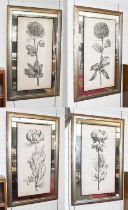 Set of Four Decorative John-Richard Botanical Prints in Mirrored Frames, 91cm by 45.5cm (4)