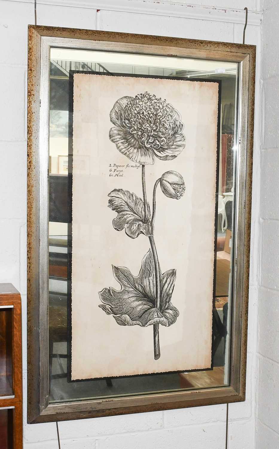 Set of Four Decorative John-Richard Botanical Prints in Mirrored Frames, 91cm by 45.5cm (4) - Image 2 of 5