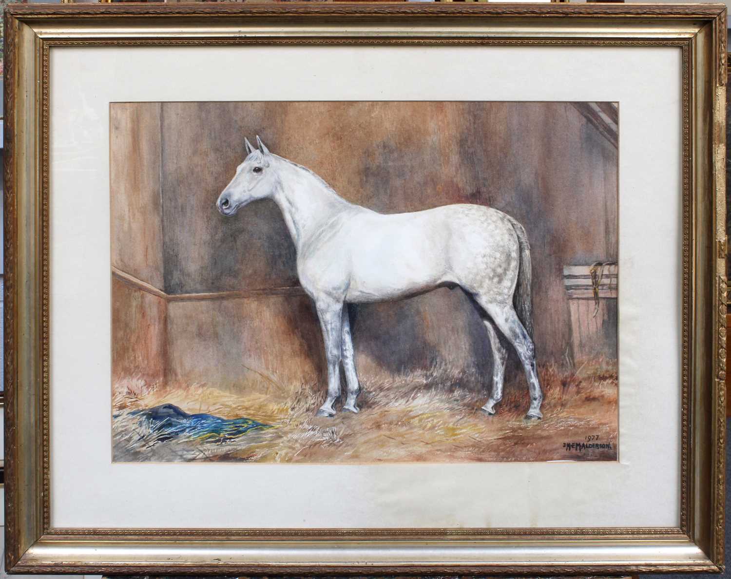 D.M & E.M Alderson (20th Century) Study of a grey horse standing in a stable Signed and dated - Image 2 of 7