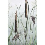 Anthea Lycett (20th Century) A pair of wrens resting on bullrushes Signed and dated (19)83,