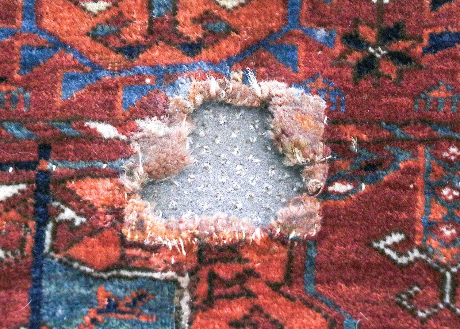 ~ Tekke Main Carpet Probably Merv, late 19th century The rich madder field with five rows of - Bild 4 aus 13