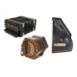 Concertina