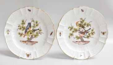 A Pair of Meissen Porcelain Plates, 18th century style, painted with birds within an ozier moulded