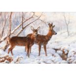 Elizabeth Halstead (20th Century) "Roe Deer in snow" Signed, oil on board, 28.5cm by 38.5cm Some