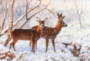 Elizabeth Halstead (20th Century) "Roe Deer in snow" Signed, oil on board, 28.5cm by 38.5cm Some