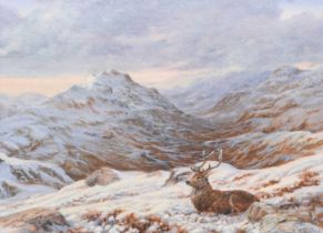 Elizabeth Halstead (20th Century) Stag at rest on a snow covered mountainous landscape Signed, oil